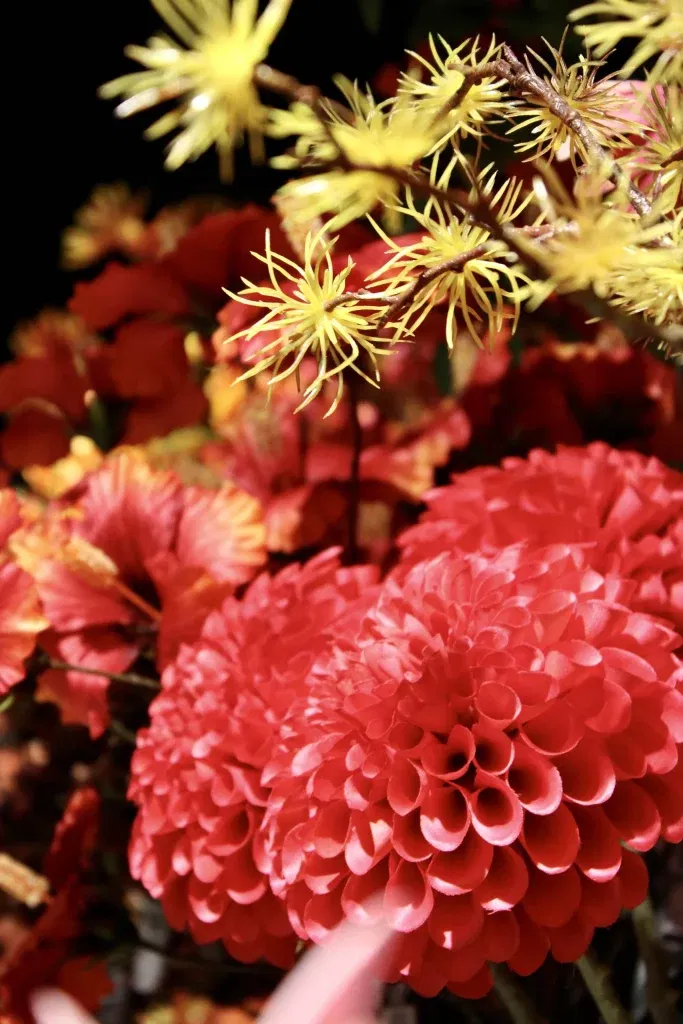 Kleurrijke zijden bloemen van het merk Silk-ka in de winkel van Oogst, binnen in tuincentrum Steck in Utrecht Overvecht