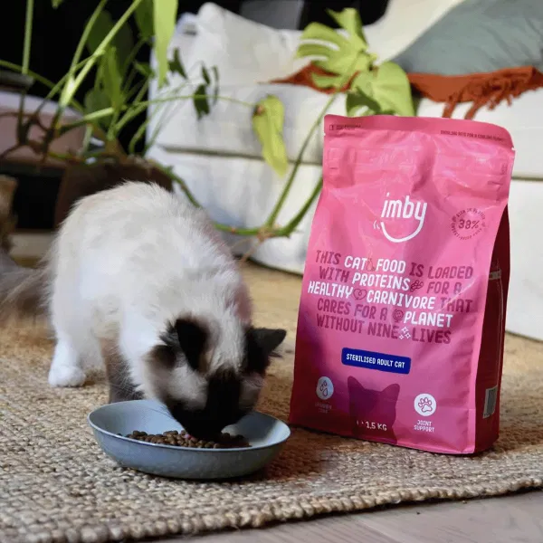 Kitten eet imby kattenvoer uit bakje