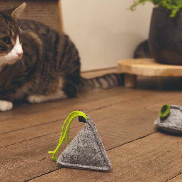 Minus One - Piramid - Kattenspeeltjes - Afbeelding 2
