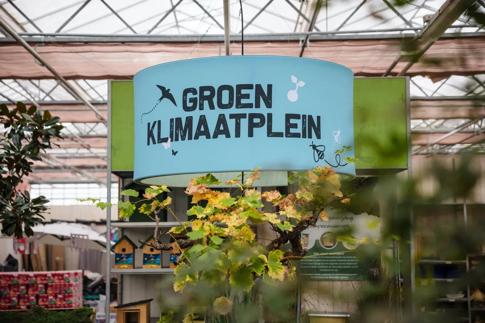Groen klimaatplein