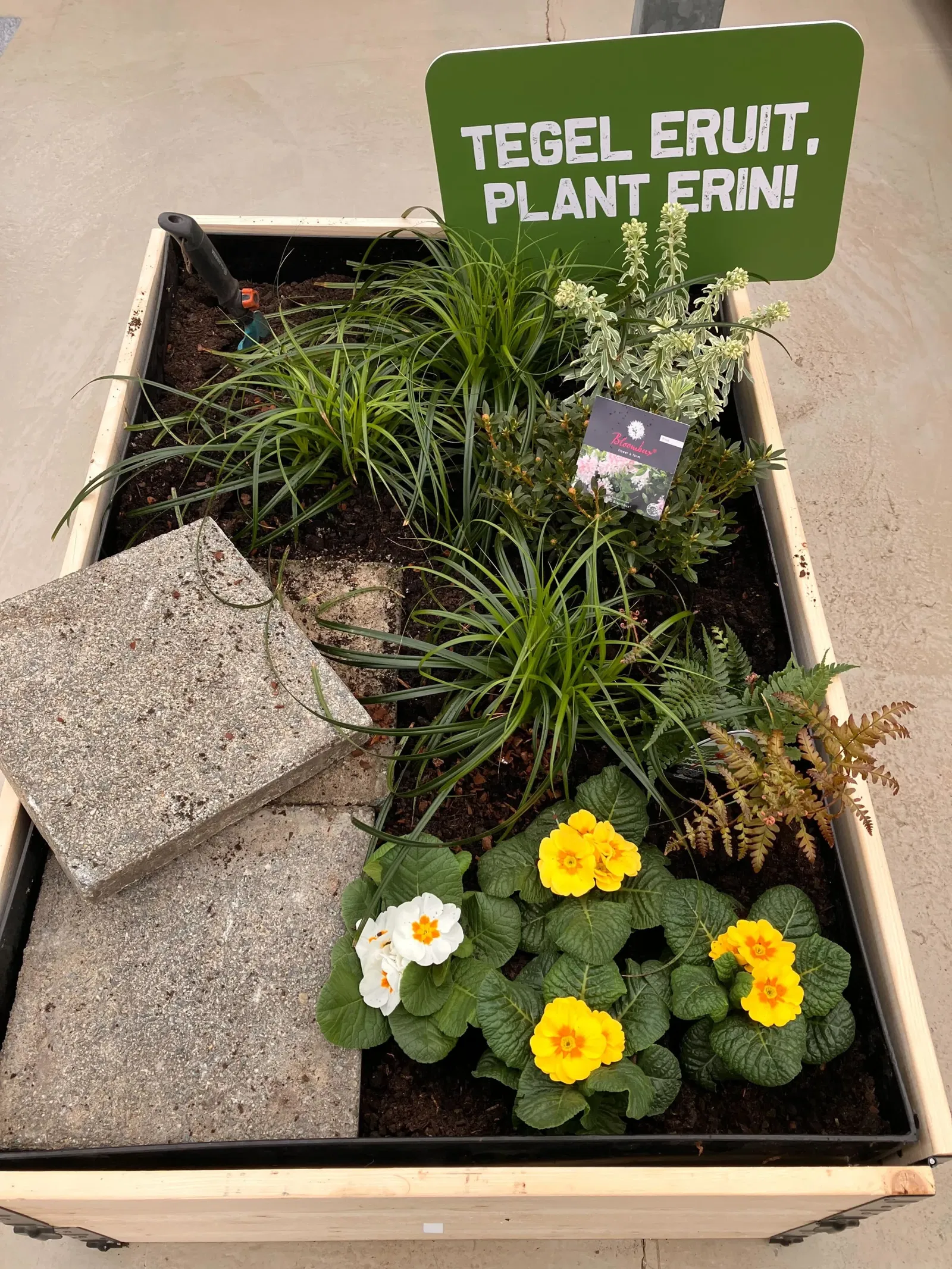 Bak in tuincentrum Steck die aanmoedigt om tegels in een stadstuin te vervangen door planten onder de leus 'tegel eruit, plant erin!'