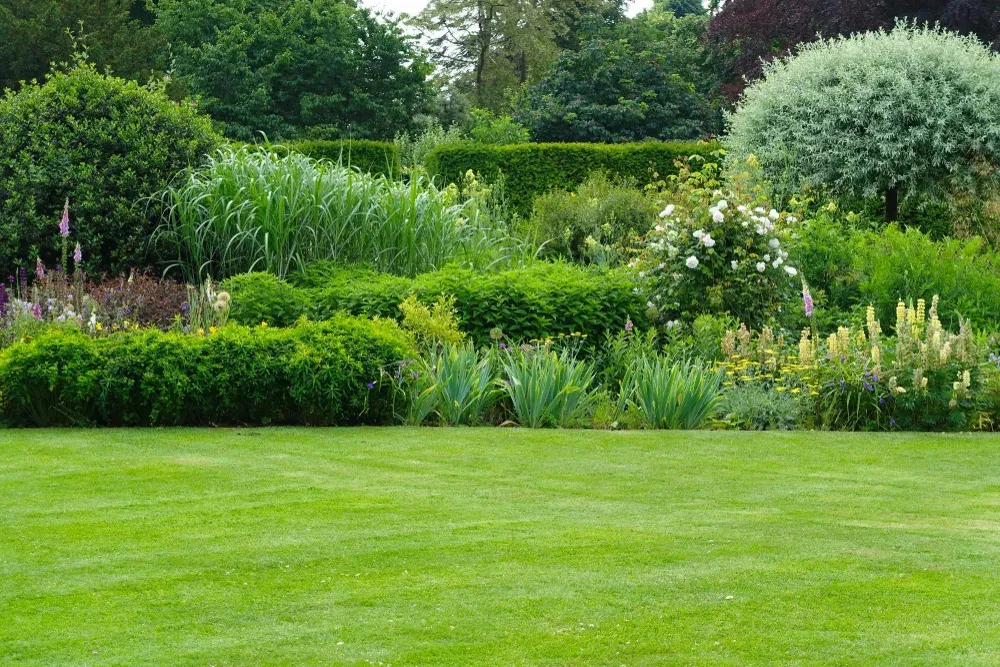 Een uitgestrekt gazon strekt zich uit naar een levendige border vol met diverse tuinplanten en bloemen. De tuin toont een rijke variëteit aan texturen en kleuren, van het donkergroen van dicht blad tot het heldergeel en paars van bloeiende planten. Verschillende hoogtes en soorten vegetatie creëren een natuurlijk, gelaagd uiterlijk, van lage struiken tot hoge siergrassen en bloemen op stevige stelen.