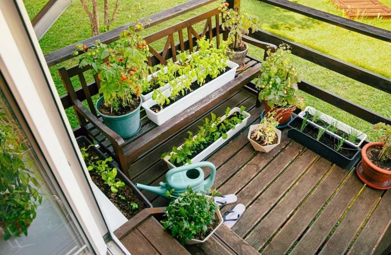 Een vrolijk balkon vol met diverse planten en bloemen. Hangplanten bungelen vanaf de balustrade, terwijl bloembakken met kleurrijke bloemen de reling sieren. Op de vloer staan potten met weelderige groene planten en bloeiende bloemen, wat een levendige en groene sfeer creëert. In de hoek is een kleine tafel met een kopje koffie, een uitnodigende plek om te ontspannen te midden van al het groen. Het geheel straalt een gevoel van rust en natuur uit, midden in een stedelijke omgeving.