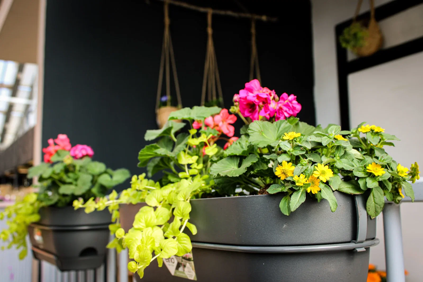 Vacature: medewerker potterie en trend (38 uur)