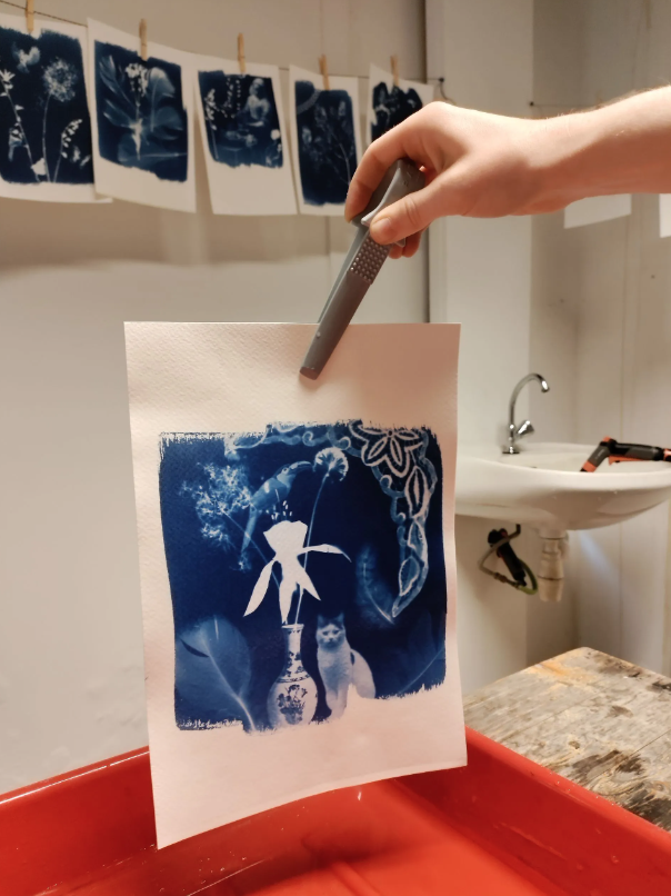 Een hand houdt een vers afgedrukte cyanotype in een pincet boven een rood bakje met ontwikkelvloeistof. De afbeelding op de cyanotype toont een botanisch kunstwerk met witte silhouetten van bladeren, bloemen, een vaas en een kat tegen een diepblauwe achtergrond. Op de achtergrond hangen meerdere cyanotype-afdrukken te drogen aan een waslijn. De ruimte heeft een rustieke uitstraling met een wastafel en eenvoudige inrichting. De hele scène straalt creativiteit en ambachtelijkheid uit, met een focus op de kunst van het cyanotypen