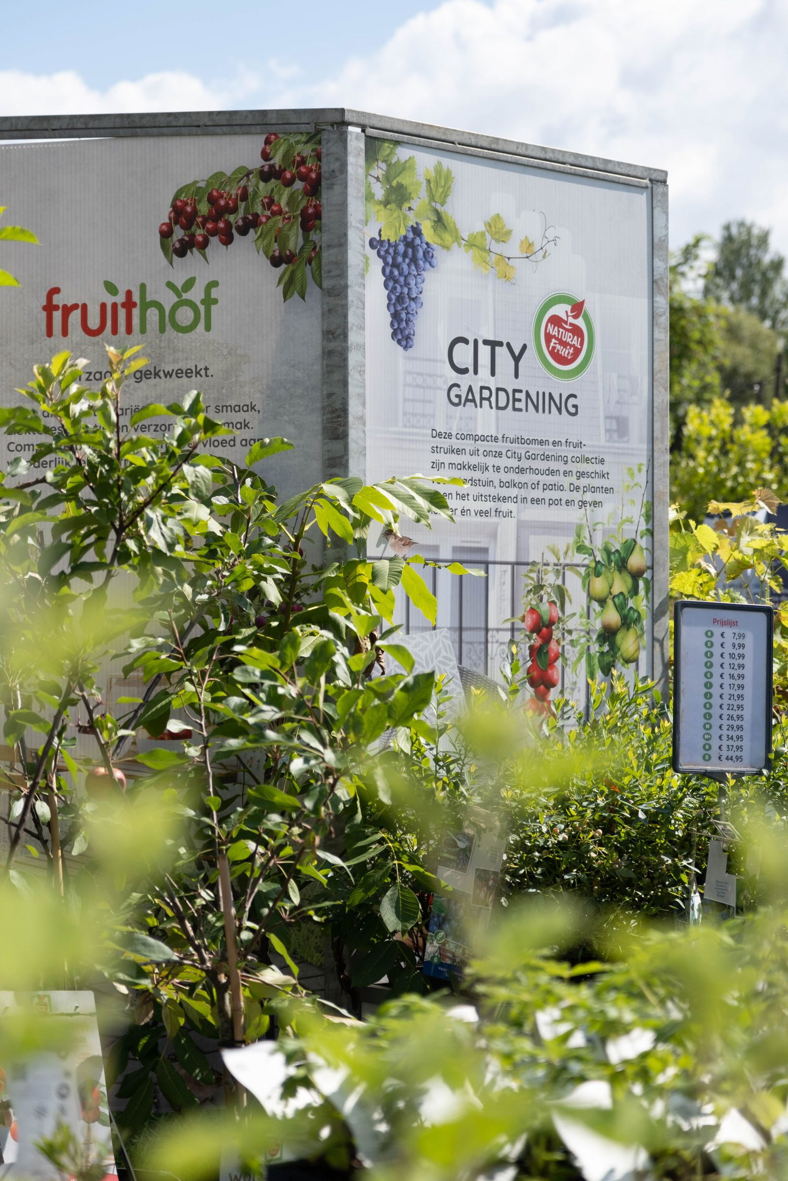 Een display in tuincentrum Steck in Utrecht Overvecht met promotieborden voor City Gardening en Fruithof. De borden zijn omgeven door groene struiken en jonge fruitbomen die klaarstaan om geplant te worden. Het City Gardening bord moedigt stadsbewoners aan om compacte fruitbomen en struiken te planten, zelfs op kleinere ruimtes zoals balkons of stadstuinen. Het zonlicht verlicht de bladeren en creëert een fris en uitnodigend beeld, perfect passend bij het thema van stedelijk tuinieren.