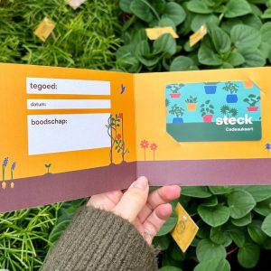 Steck Cadeaukaart