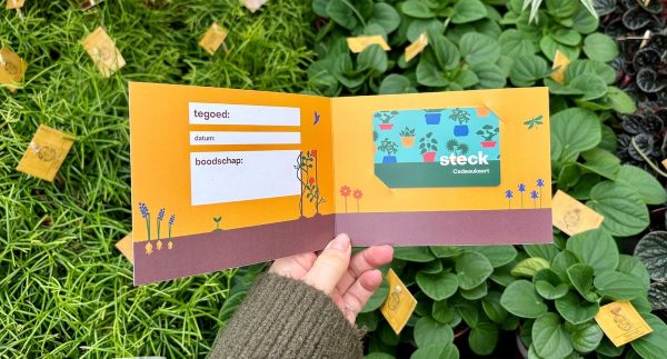 Steck Cadeaukaart