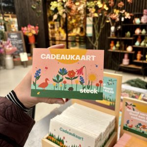 Steck Cadeaukaart