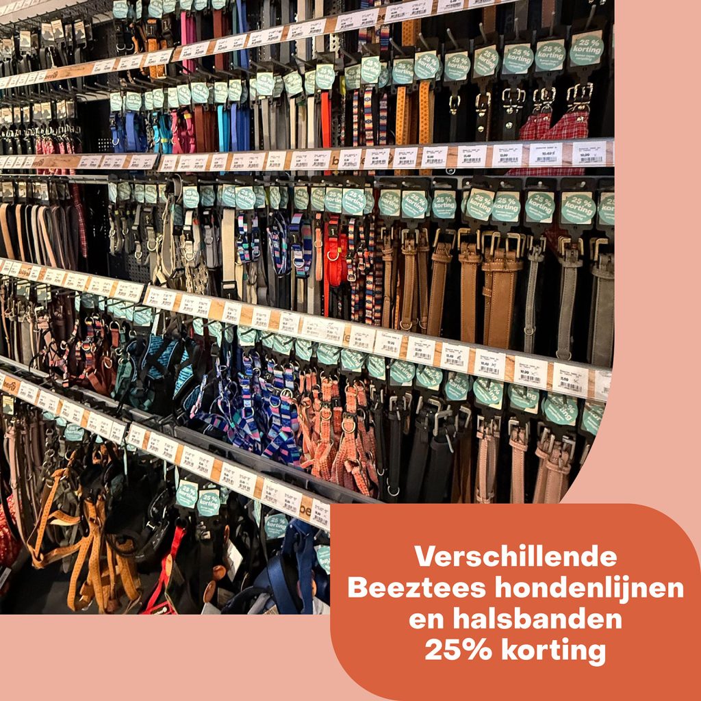 weekactie hondenriemen november 2024