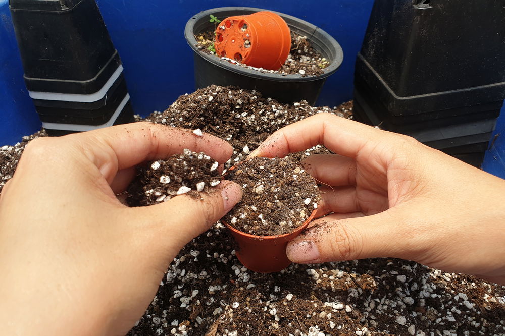 Twee handen vullen een kleine plantenpot met potgrond die perlietkorrels bevat. Op de achtergrond staan grotere potten en een hoop potgrond.