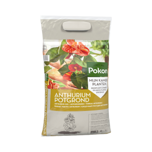Pokon Potgrond Anthurium 5L