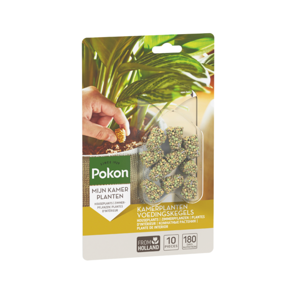 Pokon Kamerplanten Voedingskegels 10 stuks