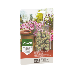 Pokon Terras & Balkon Planten Voedingskegels 10 stuks