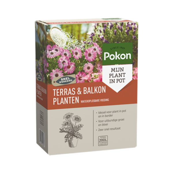 Pokon Terras & Balkon Planten Wateroplosbare Voeding 500gr
