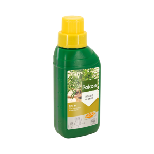 Pokon Palm Voeding 250ml OP=OP
