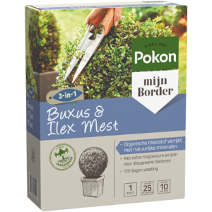 Pokon Buxus & Ilex Mest 1kg