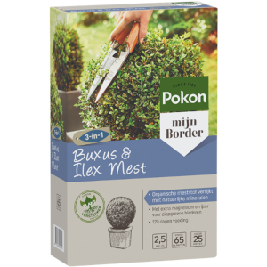 Pokon Buxus & Ilex Mest 2,5kg