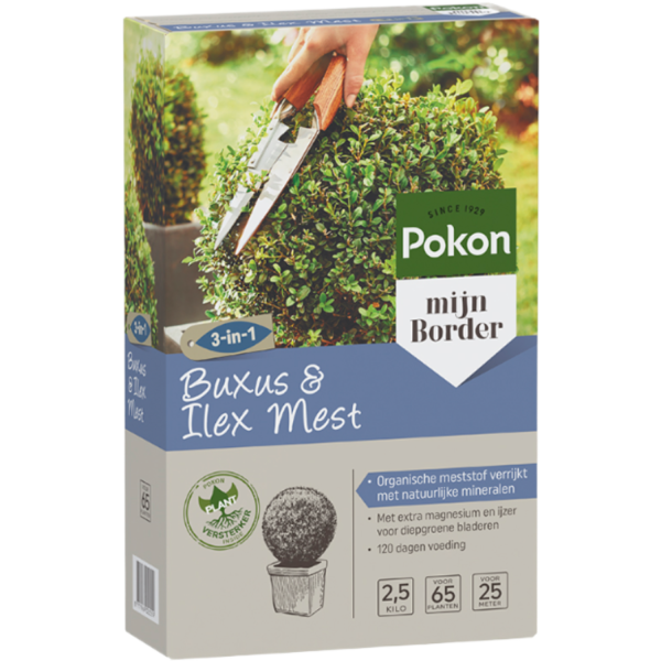 Pokon Buxus & Ilex Mest 2,5kg