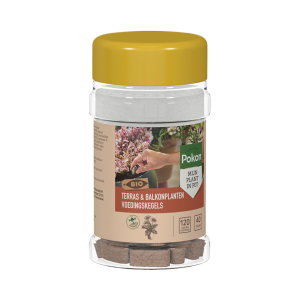 Pokon Bio Terras & Balkon Planten Voedingskegels 40 stuks