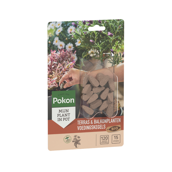 Pokon Bio Terras & Balkon Planten Voedingskegels 15 stuks