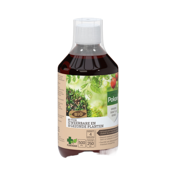 Pokon Bio Kuur voor Weerbare en Gezonde Planten Concentraat 500ml