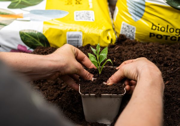 Biologische potgrond 20L - Afbeelding 4