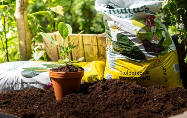 Biologische potgrond 20L - Afbeelding 2
