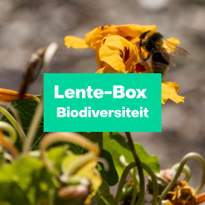 Lente-Box Biodiversiteit L