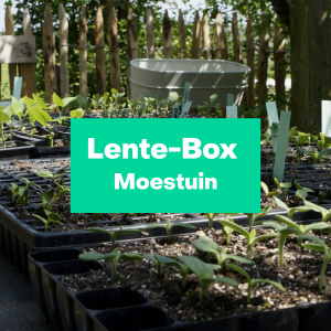 Lente-Box Moestuin L