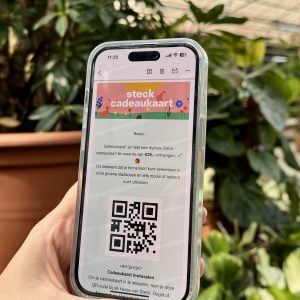Een hand houdt een telefoon omhoog met daarop een digitale cadeaukaart van Steck.