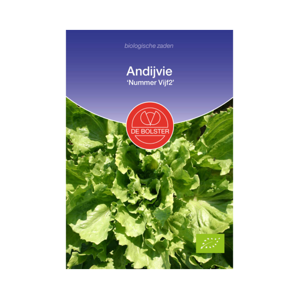 De Bolster Zaden - Andijvie 'Nummer Vijf2'
