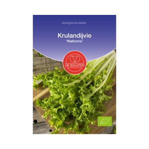 De Bolster Zaden - Krulandijvie 'Wallonne'
