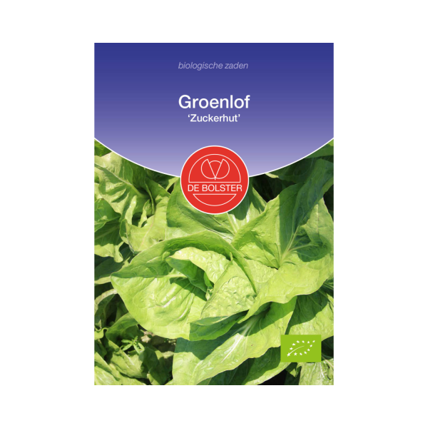 De Bolster Zaden - Groenlof 'Zuckerhut'