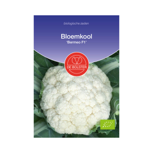 De Bolster Zaden - Bloemkool 'Bermeo F1'