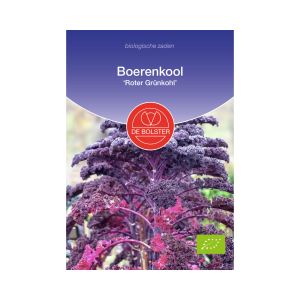 De Bolster Zaden - Boerenkool 'Roter Grünkohl'