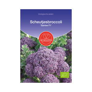 De Bolster Zaden - Scheutjesbroccoli 'Santee F1'