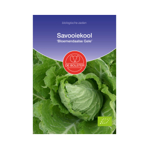 De Bolster Zaden - Savooiekool 'Bloemendaalse Gele'
