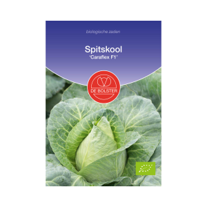 De Bolster Zaden - Spitskool 'Caraflex F1'