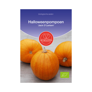 De Bolster Zaden - Halloweenpompoen 'Jack O’Lantern'