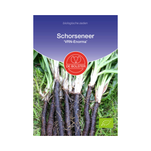 De Bolster Zaden - Schorseneer 'VRN-Enorma'