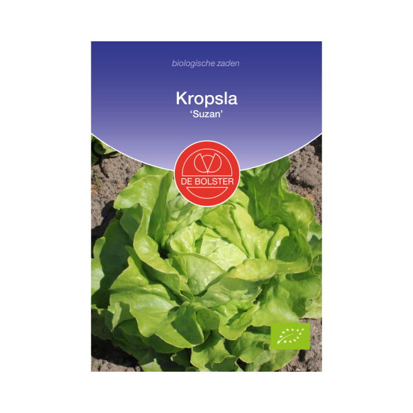 De Bolster Zaden - Kropsla 'Suzan'