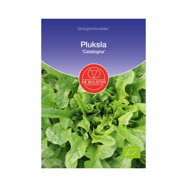 De Bolster Zaden - Pluksla 'Catalogna'
