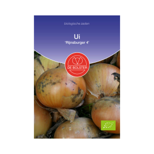 De Bolster Zaden - Ui 'Rijnsburger 4'
