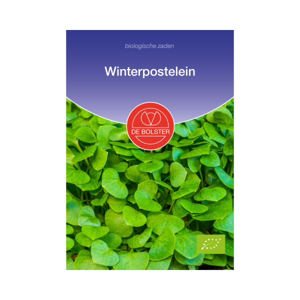 De Bolster Zaden - Winterpostelein
