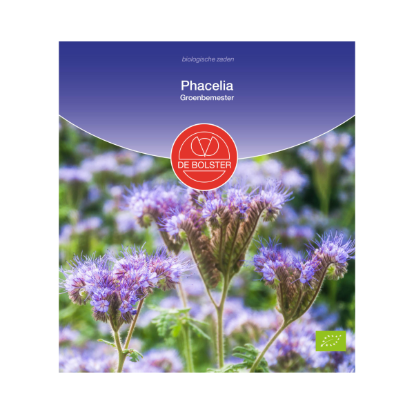 De Bolster Zaden - Phacelia