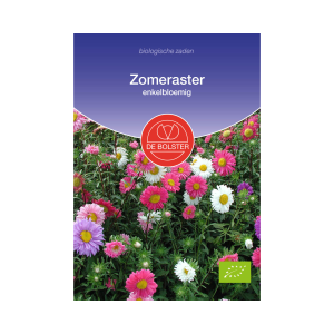 De Bolster Zaden - Zomeraster, enkelbloemig
