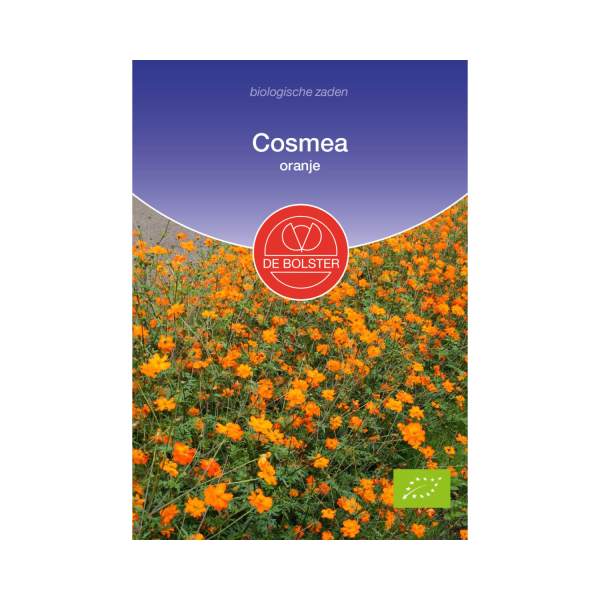 De Bolster Zaden - Cosmea, oranje