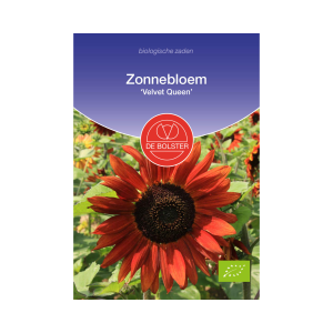 De Bolster Zaden - Zonnebloem 'Velvet Queen'