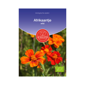 De Bolster Zaden - Afrikaantje, wild